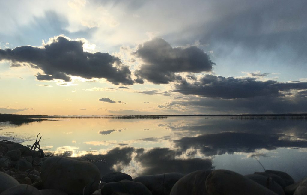 Coming to Terms with NAIT Part 1